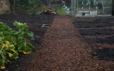 Community Garden transformation this week….