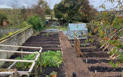 The Community Garden Project